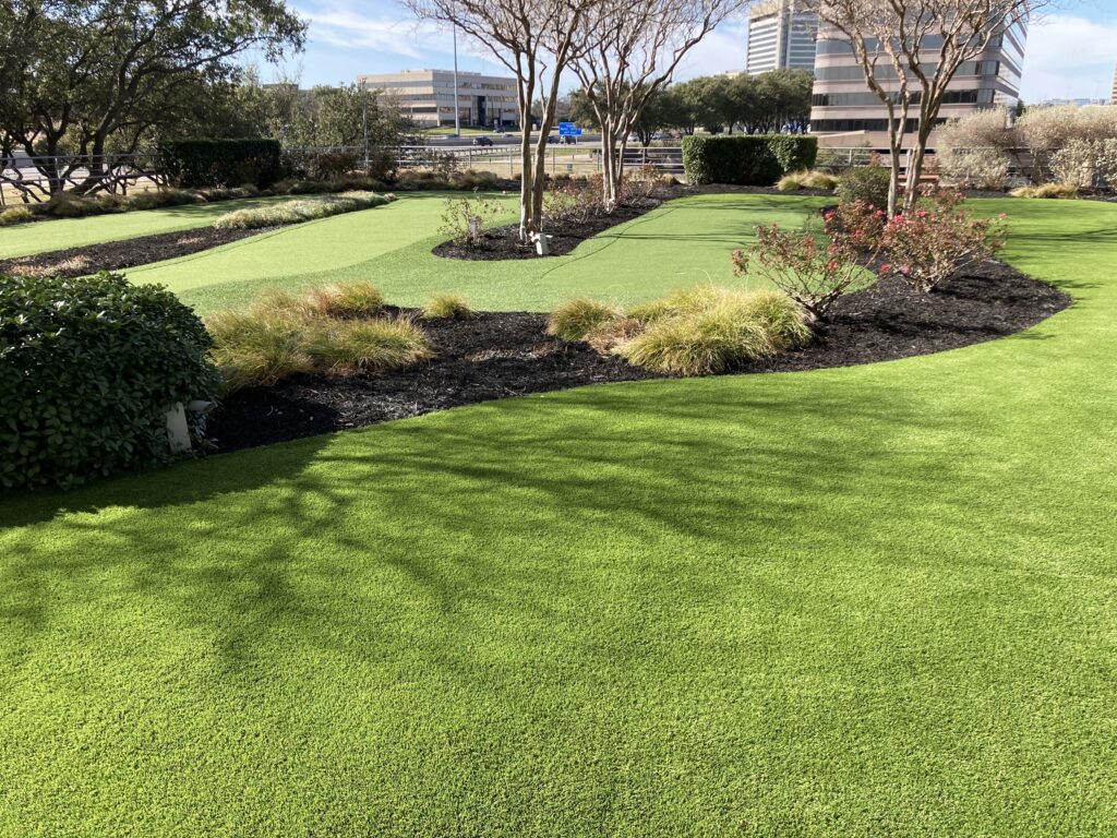 A commercial turf installation with trees